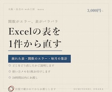 Excelの表・関数・集計をすばやく整えます イメージ1
