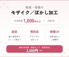 動きの速い被写体もモザイク加工します イメージ1