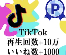 TikTok | SNSアカウント運用 | ココナラ