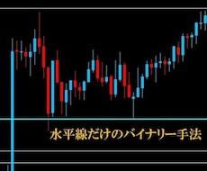 バイナリーオプションの相談、ツールが買えるサイト | ココナラ