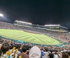 野球場で撮影した写真を販売します イメージ1