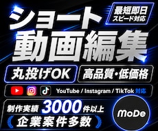 高品質・丸投げ◎SNS用ショート動画を編集します イメージ1