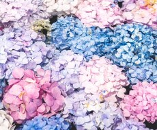 断ち切れない悩みや不安を聞きます イメージ1
