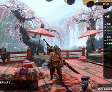 モンハンライズのクエストお手伝いします イメージ1