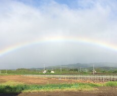 苦しみを受け止めます イメージ1