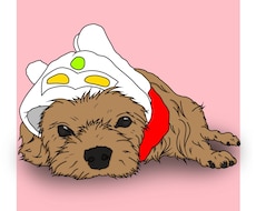 動物の絵を描きます 素敵な絵を提供出来るように頑張ります！