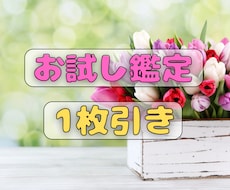 すぐにアドバイスが欲しいあなたにヒントを送ります 熱い女が送る！圧倒的！嗅覚リーディング！！！