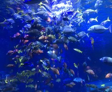 とにかく話を聞いて前向きになります イメージ1