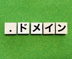 特殊なドメインをご提供します 今の収入で満足していますか？サイト運営で収益化を早期実現！