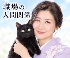 職場・人間関係 ✤ その辛さ、霊視で紐解きます 他人の機嫌に振り回されない、あなた様のための生き方を見つける