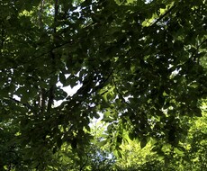 会話に疲れた小さな不安をゴミ箱にをお手伝い致します イメージ1