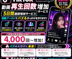 5日間TikTok再生回数を4000回増やします