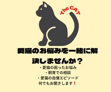 愛猫のお悩み・相談お聞きします イメージ1