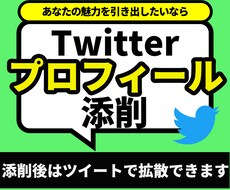 あなたのTwitterプロフィールを添削します 相手に伝わるプロフィールにしていきます