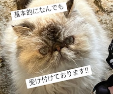 商用利用可能な写真素材1~30枚提供します イメージ1