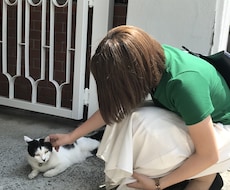 3日間ゆっくりLine感覚でチャットします 3日間ゆっくりお話しましょう✩.*˚100前後やりとり..♪