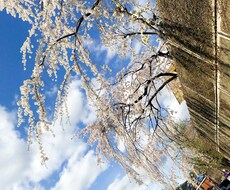 愚痴や相談などお話相手になります イメージ1