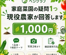 この野菜、今から間に合うか現役農家が判定します イメージ1