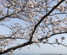 あなたのお話、お悩みお聞きします イメージ1