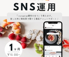 飲食店のinstagram運用の全てを教えます 運用の全体感やいつでも聞ける相手が欲しい方向け