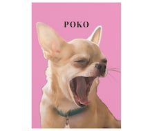 データ納品｜ペットの写真を水彩風アートに仕上げます 名前入れ無料｜オプションで装飾付きメッセージ可能