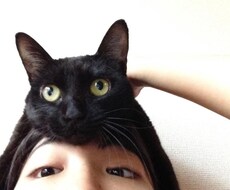 関西弁のお姉さんがゆるーく愚痴ききます イメージ1