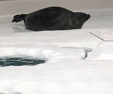 電話占い☆寄り添って占います イメージ1