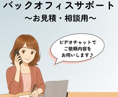 ビデオチャットでの事前打ち合わせ用となります ～バックオフィス代行購入検討者の方専用！