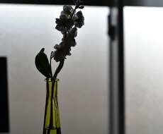 あなたの心のモヤモヤ聞きます イメージ1