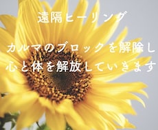 カルマのブロックを解除し心と体を解放していきます イメージ1
