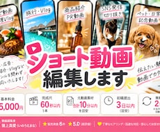 TikTok・リール・ショート動画を編集します イメージ1