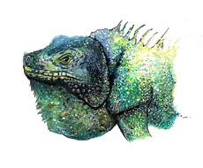 挿し絵やアイコンなどを描きます イメージ1