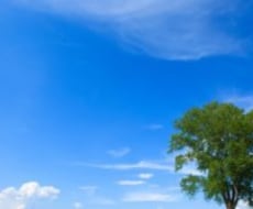 ブロック解除のヒントになる年齢と関係者お伝えします 【リピーター&感想寄稿許可限定】モヤモヤ解消したい方へ
