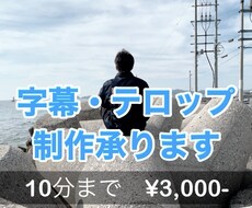 YouTube動画向けの素材に字幕をつけます イメージ1