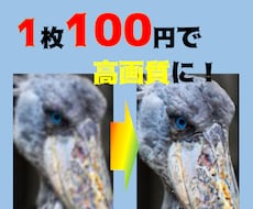 一枚100円で写真をAIの力で高画質、綺麗にします イメージ1