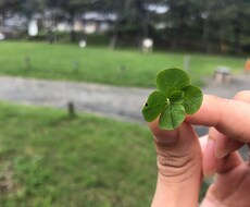 あなたの困ったを代行します イメージ1