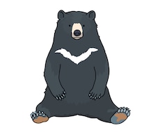 有資格者によるカウンセリングを提供します イメージ1
