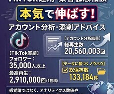 TikTok運用アドバイス・アカウント添削します フォロワー3.5万達成者が伸ばすための具体的な改善策を提供