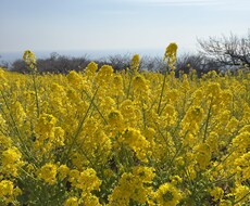 誰にも言えない愚痴や悩み、チャットで聞きます イメージ1