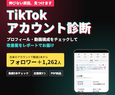 TikTokを診断し伸びる改善案を提案します プロフィールと動画構成を診断し改善案をレポート