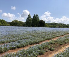 大切な人を失った方のお話をお伺いします イメージ1