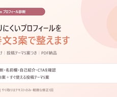 インスタ初心者のプロフィールを診断します 改善文3案と投稿テーマ5案をPDFで納品