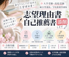 総合型選抜（旧AO入試）の書類添削します イメージ1