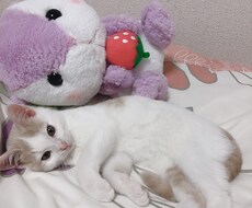 心の疲れじっくり聞きます イメージ1