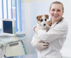 犬・猫の病気・フード・しつけ等のお悩みを解決します イメージ1