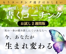 書くコーチング２週間版✨自分を癒して目標達成します イメージ1