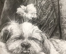 写真をもとに加工ではないリアルな似顔絵を描きます イメージ1