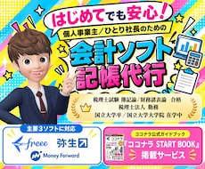 会計ソフト記帳代行/確認を公式本掲載の私が行います 迅速、確実な知識！法人税理士事務所勤務/税理士試験2科目合格