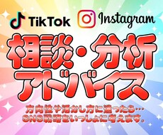 SNSに関する相談/分析/アドバイスします イメージ1