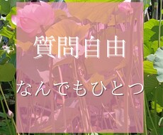 タロット・オラクルカードで占います 自由な質問内容に対して占っていきます。